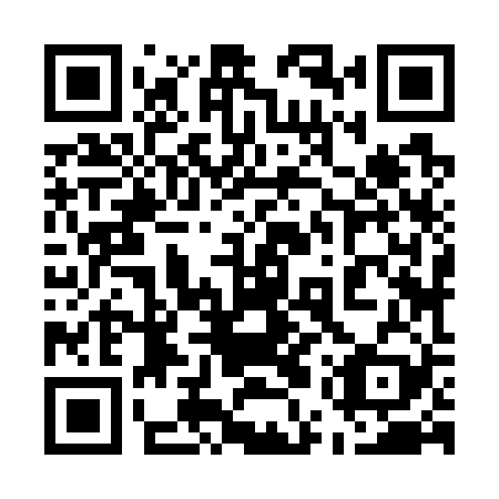QR code for 55Z 729