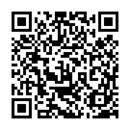 QR code for plate 55Z 463