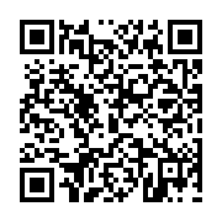 QR code for plate 56D 382