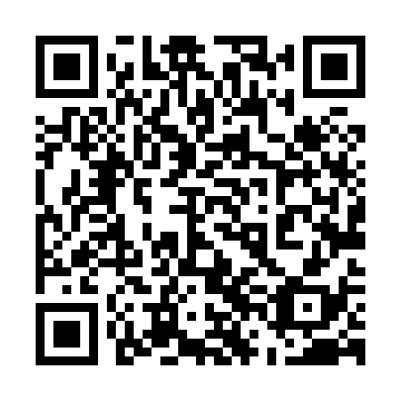 QR code for plate 56L 838