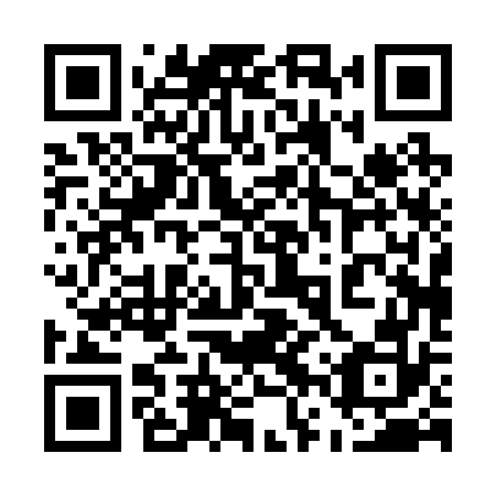 QR code for plate 56P 272