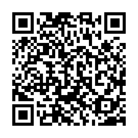 QR code for plate 56X 938