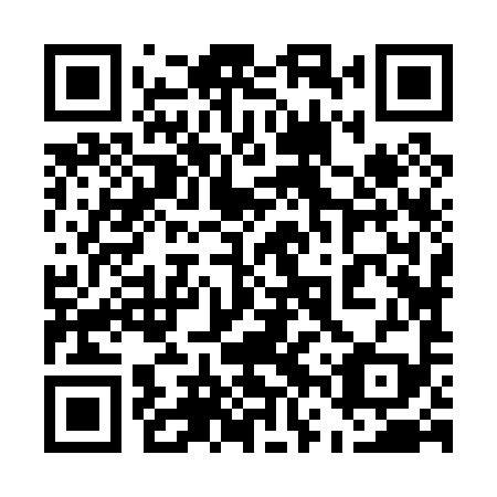QR code for plate 56Z 099