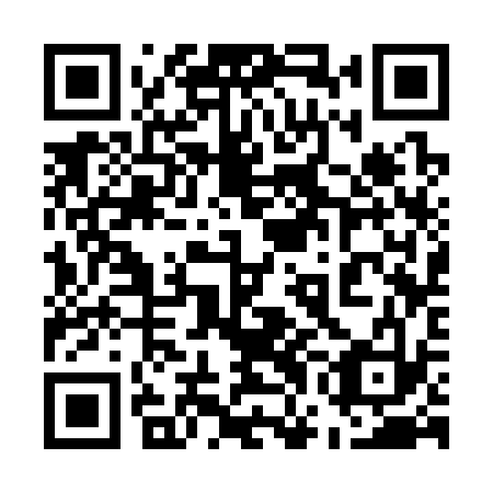 QR code for plate 57C 333