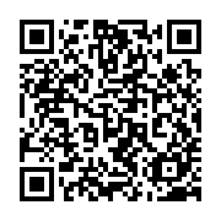 QR code for plate 57S C85