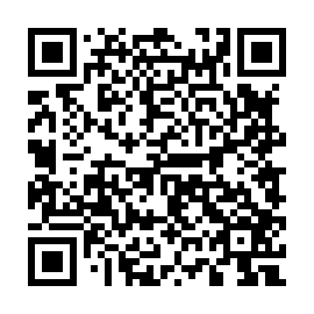 QR code for plate 57T 806