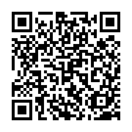 QR code for plate 57W 541