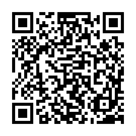 QR code for plate 57Z 393