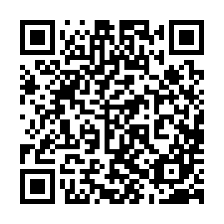 QR code for 58P 387