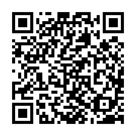 QR code for plate 58P 599