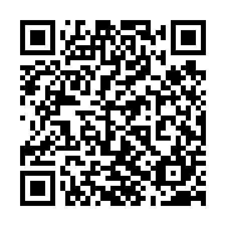QR code for plate 58T F04
