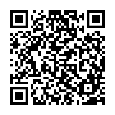 QR code for plate 58X QX6