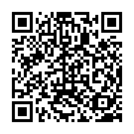 QR code for plate 5AA Z28