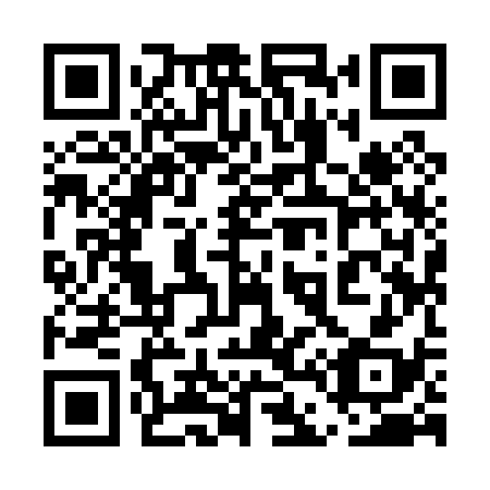QR code for plate 5D9 038