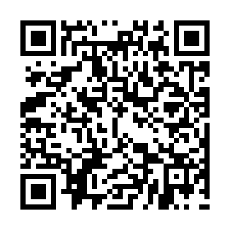 QR code for plate 5DG 923