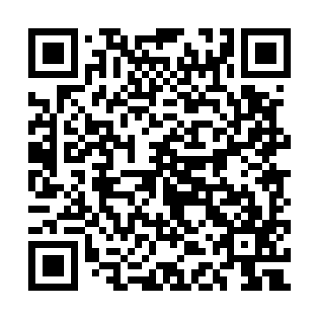 QR code for plate 5DP 597