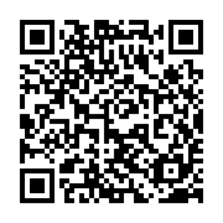 QR code for 5DS S95