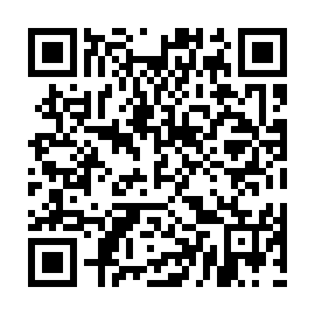 QR code for plate 5DX 155