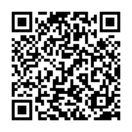QR code for 5EV X33