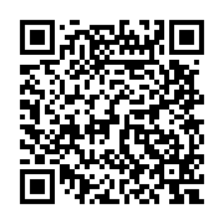 QR code for plate 5I3 595