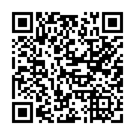 QR code for plate 5I5 913