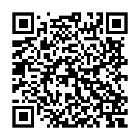 QR code for 5IIM03