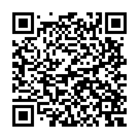 QR code for plate 5IZ E46