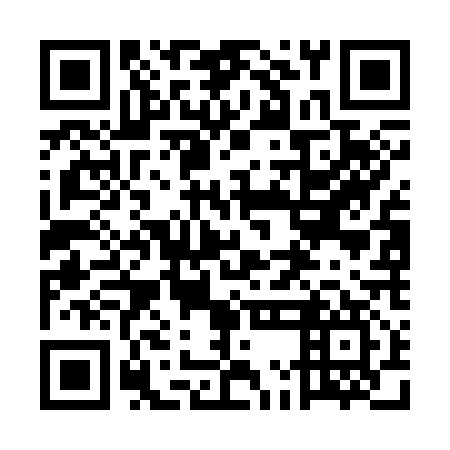 QR code for plate 5MG C17