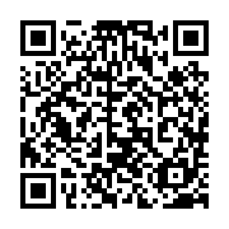 QR code for plate 5MH 295