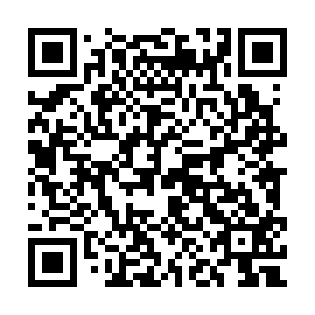 QR code for 5NL 313