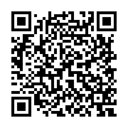 QR code for plate 5O0 955