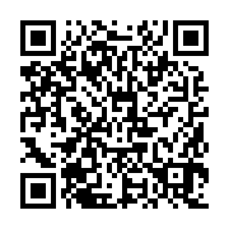 QR code for plate 5O1 882
