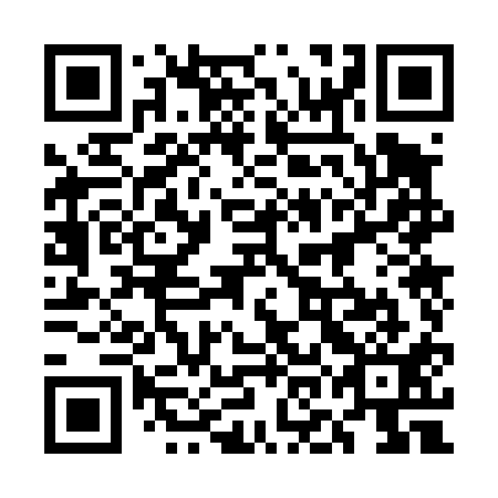 QR code for 5OO 411