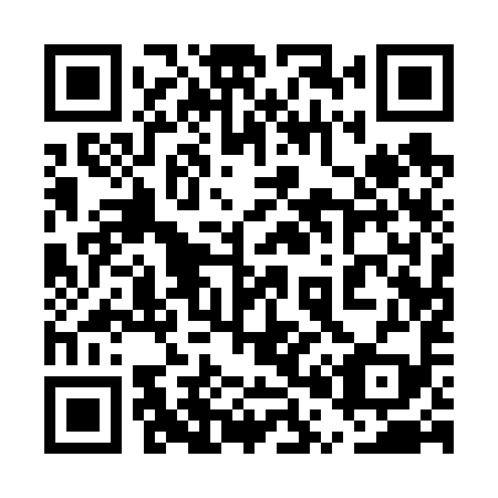 QR code for plate 5P1 699
