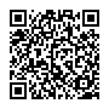 QR code for 5Q5 295