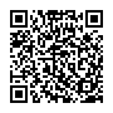 QR code for 5QI 950
