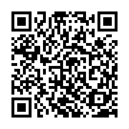 QR code for plate 5QI 968