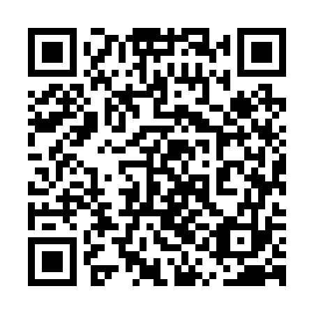 QR code for plate 5QM 273