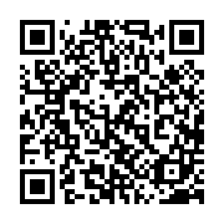 QR code for plate 5S0 003