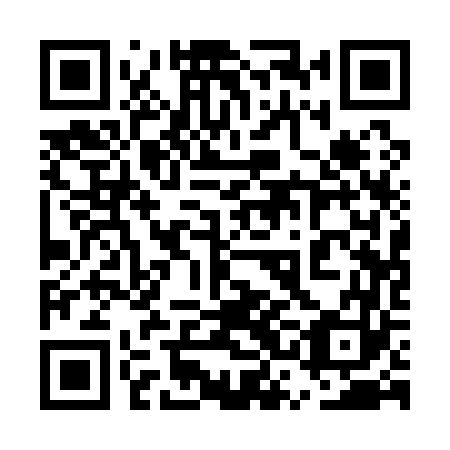 QR code for plate 5SA 163