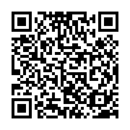 QR code for plate 5SE P31