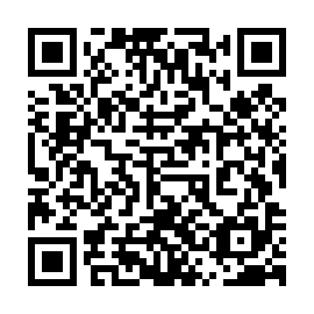 QR code for plate 5SO D95