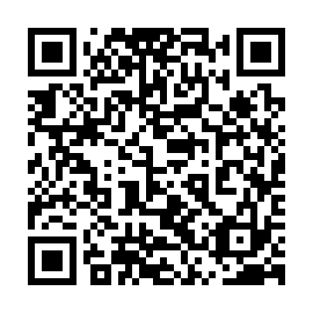 QR code for plate 5SS 333