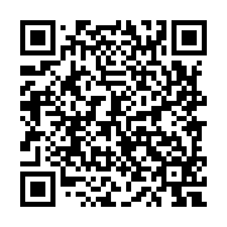 QR code for plate 5T8 996