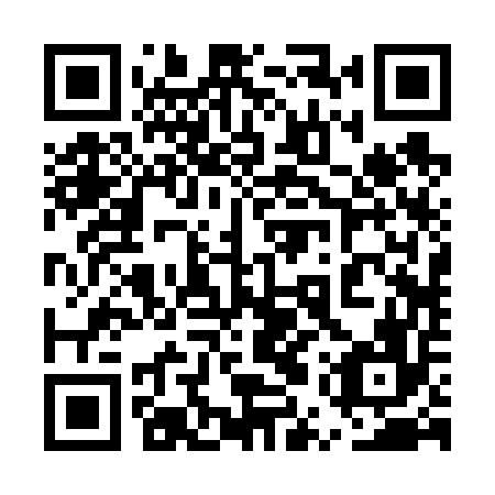 QR code for plate 5UR 656