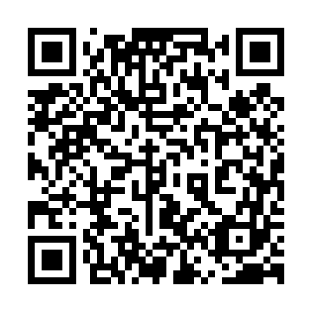 QR code for plate 5V5 463
