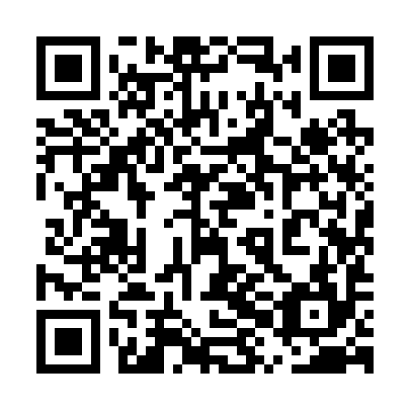 QR code for 5XI 294