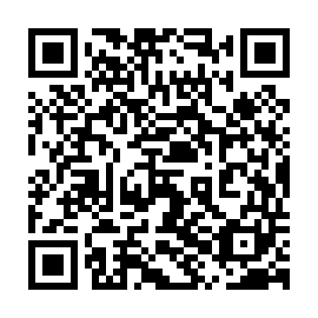 QR code for 5XI P41