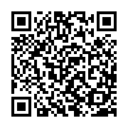 QR code for plate 5ZP 848