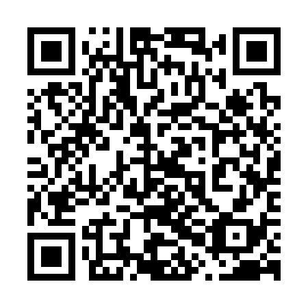 QR code for plate 60C 338
